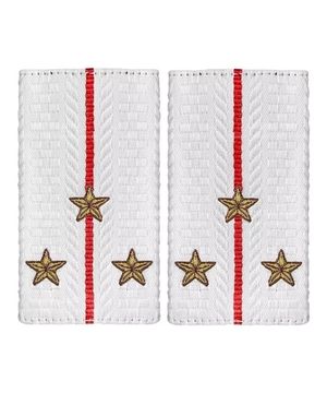 Фальшпогоны вышит. "Полиция МВД" нов\обр белые (Ст. Лейтенант)