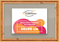 Рамка 50x90 для постера и фотографий