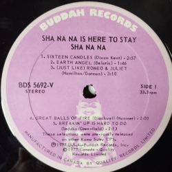 Винтажная виниловая пластинка LP Sha Na Na Is Here To Stay (Canada 1977)