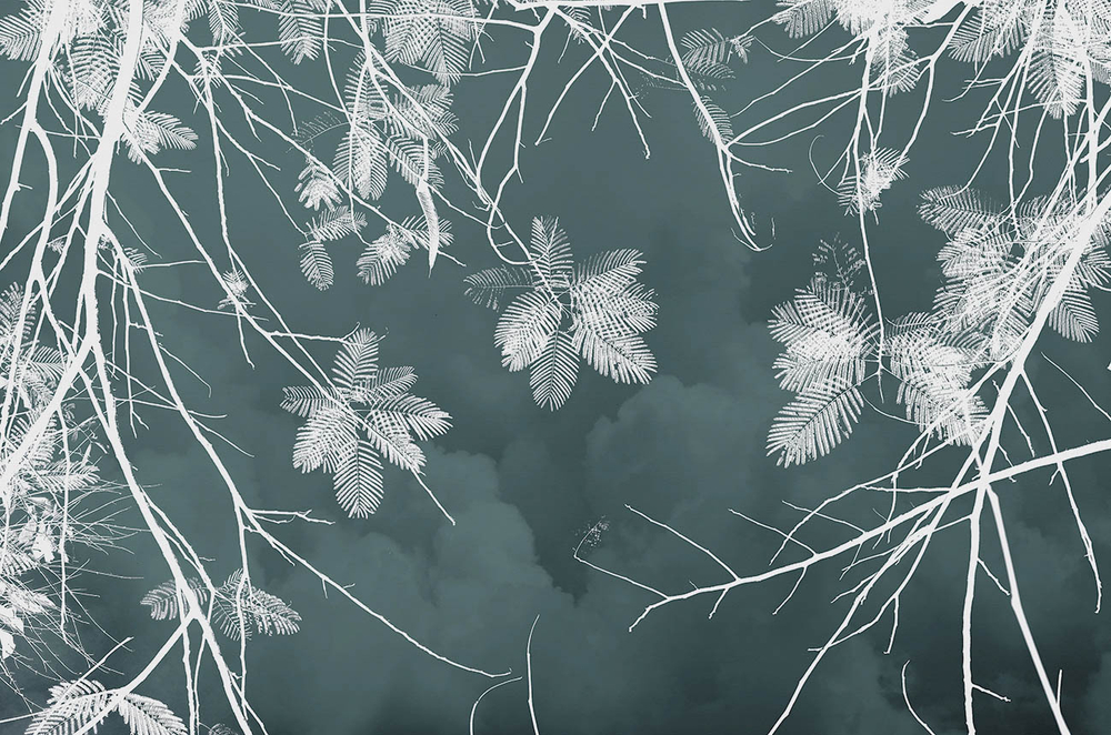 Обои с узором из линий 19501