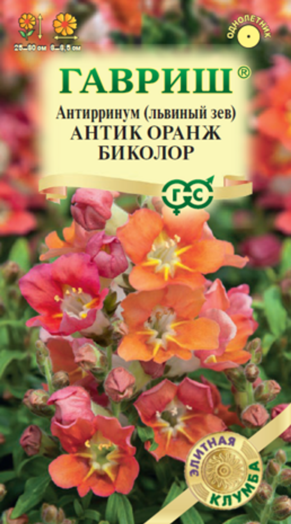 Антирринум (Львиный зев) Антик Оранж биколор 7 шт. (Гавриш)