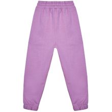 Комплект для девочки из джемпера и брюк KOGANKIDS