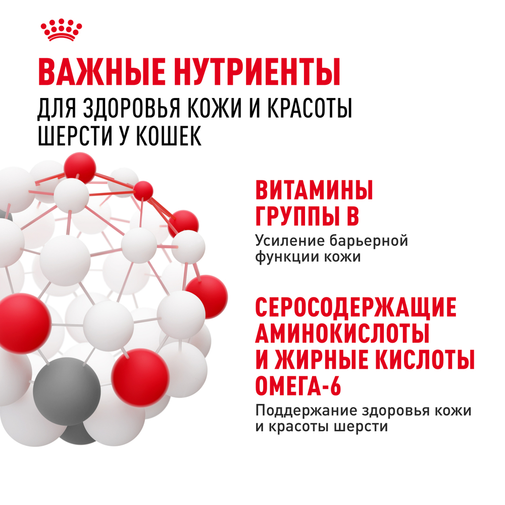 Корм консервированный Royal Canin Hair&Skin Care полнорационный для взрослых кошек для поддержания здоровья кожи и красоты шерсти, тонкие ломтики в желе - 85 гр