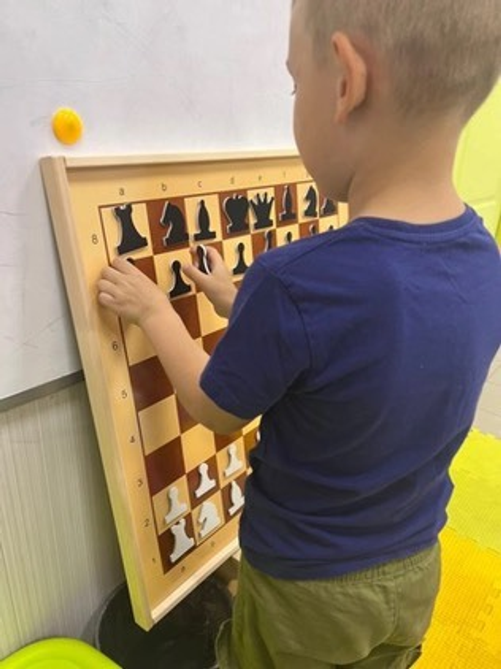 Шахматы
