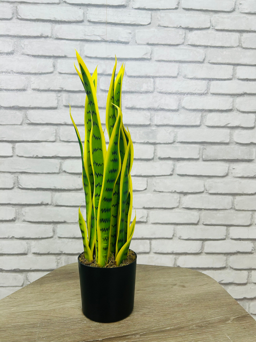 Растение искусственное Сансевиерия Лауренти 161-005 50см