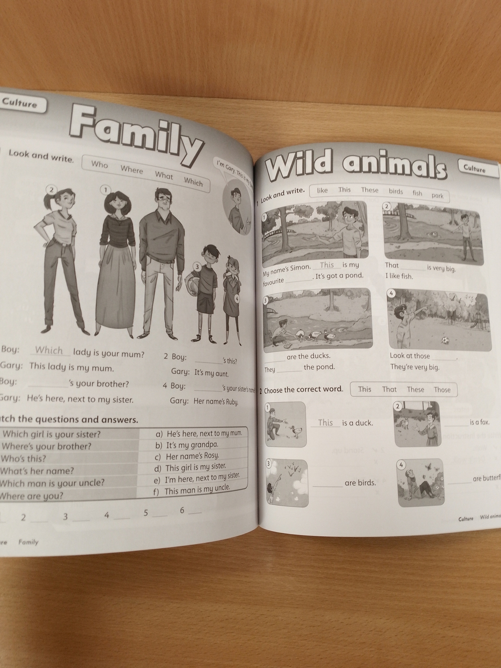 Family and Friends 2nd edition 1 Workbook