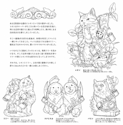 Leon's Journey. Coloring Book