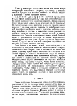Экскурсионный определитель птиц Европейской части СССР | А.Н. Сунгуров