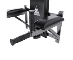 Брусья настенные DFC Homegym G294