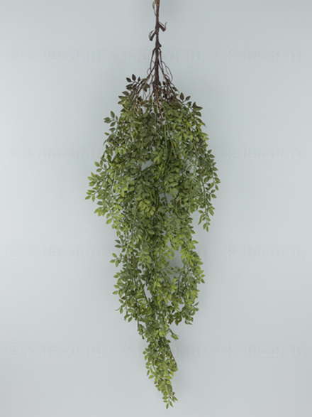 Ампельная зелень Посейдон