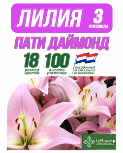 Лилия Луковица, пати даймонд, разбор 18/20, 3 шт