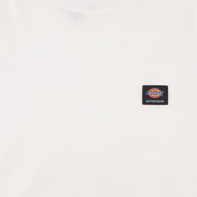 Футболка мужская Dickies Skateboarding Mount Vista Shirt артикул:WSSK6 - купить в магазине Дайс
