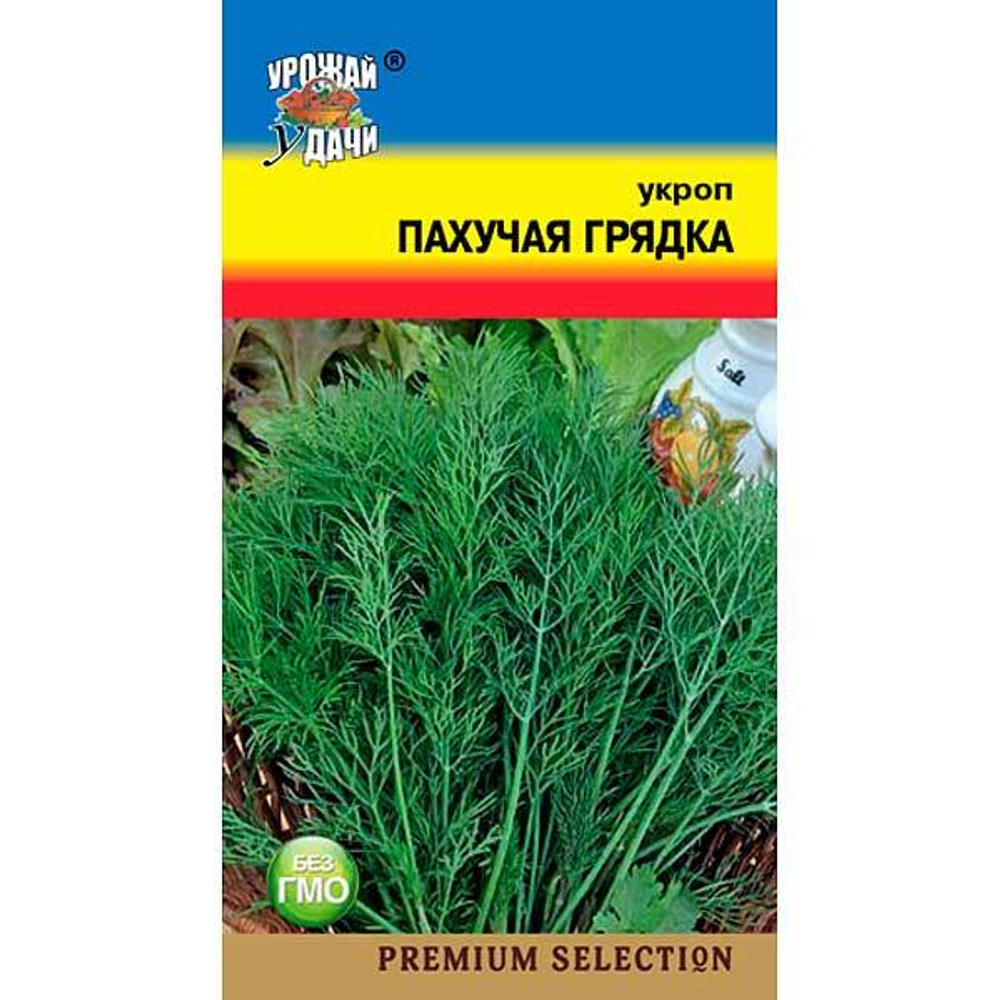 Укроп Пахучая грядка Урожай у дачи Ц