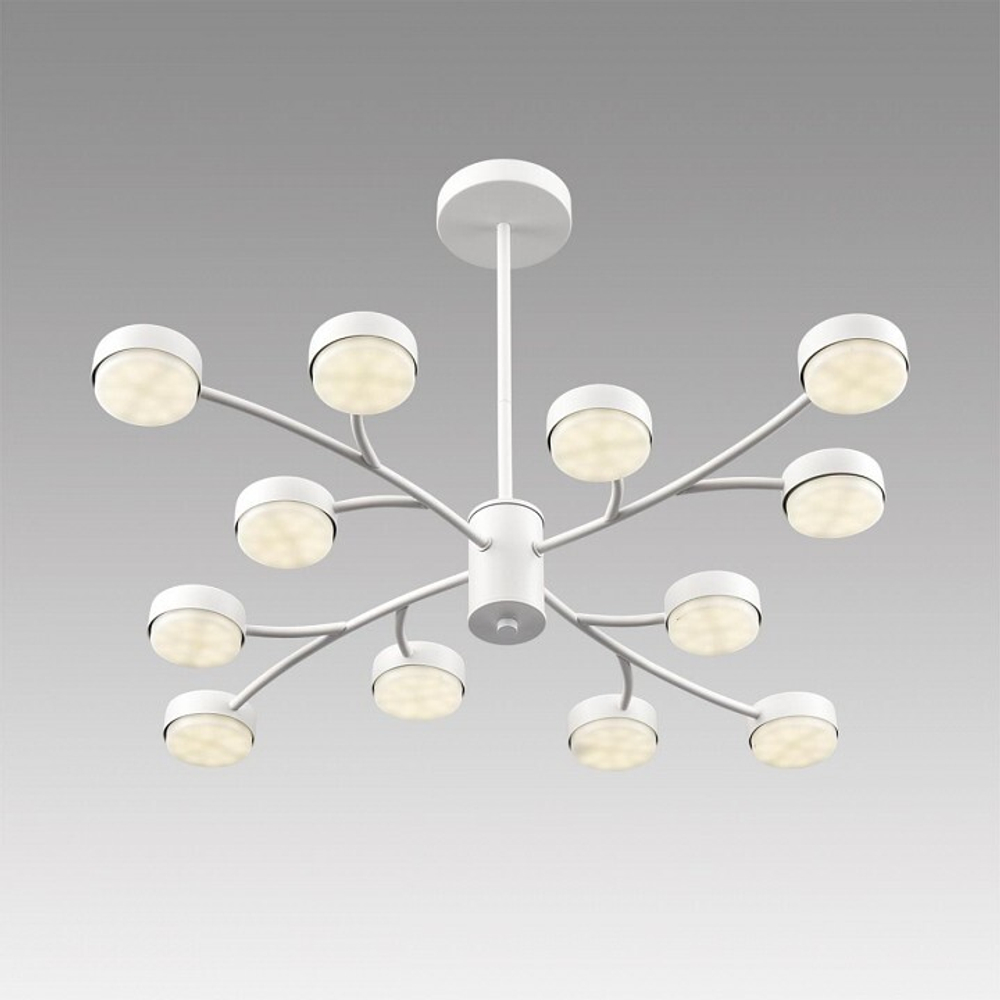 Люстра на штанге Lumion TORINA 8265/12