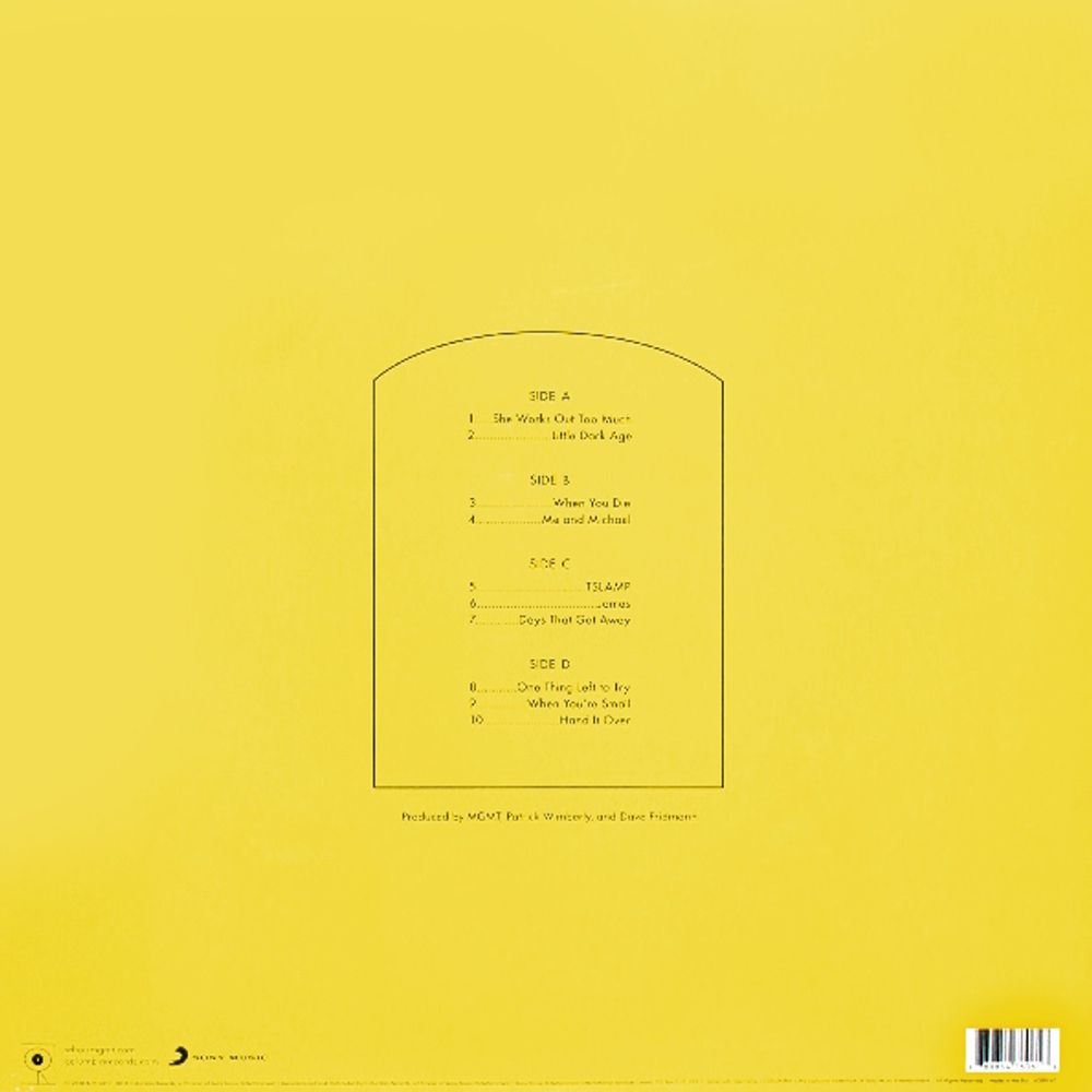 MGMT / Little Dark Age (2LP)