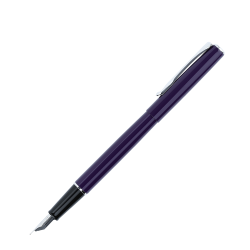 Перьевая ручка Diplomat Traveller deep purple с пером F (D40703023) 1