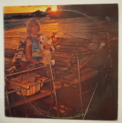 Винтажная виниловая пластинка LP Bobby Brown The Enlightening Beam Of Axonda (USA 1972)