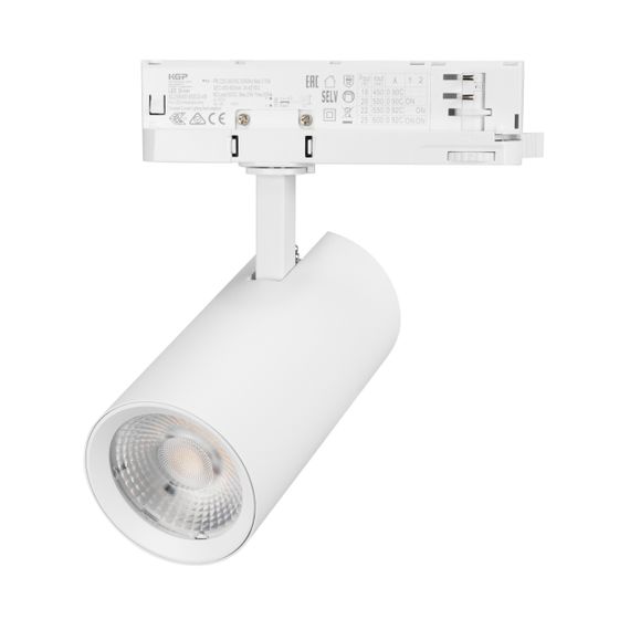 Светильник LGD-GERA-4TR-R74-20W Warm3000 (WH, 55 deg, 230V) Arlight 055168
