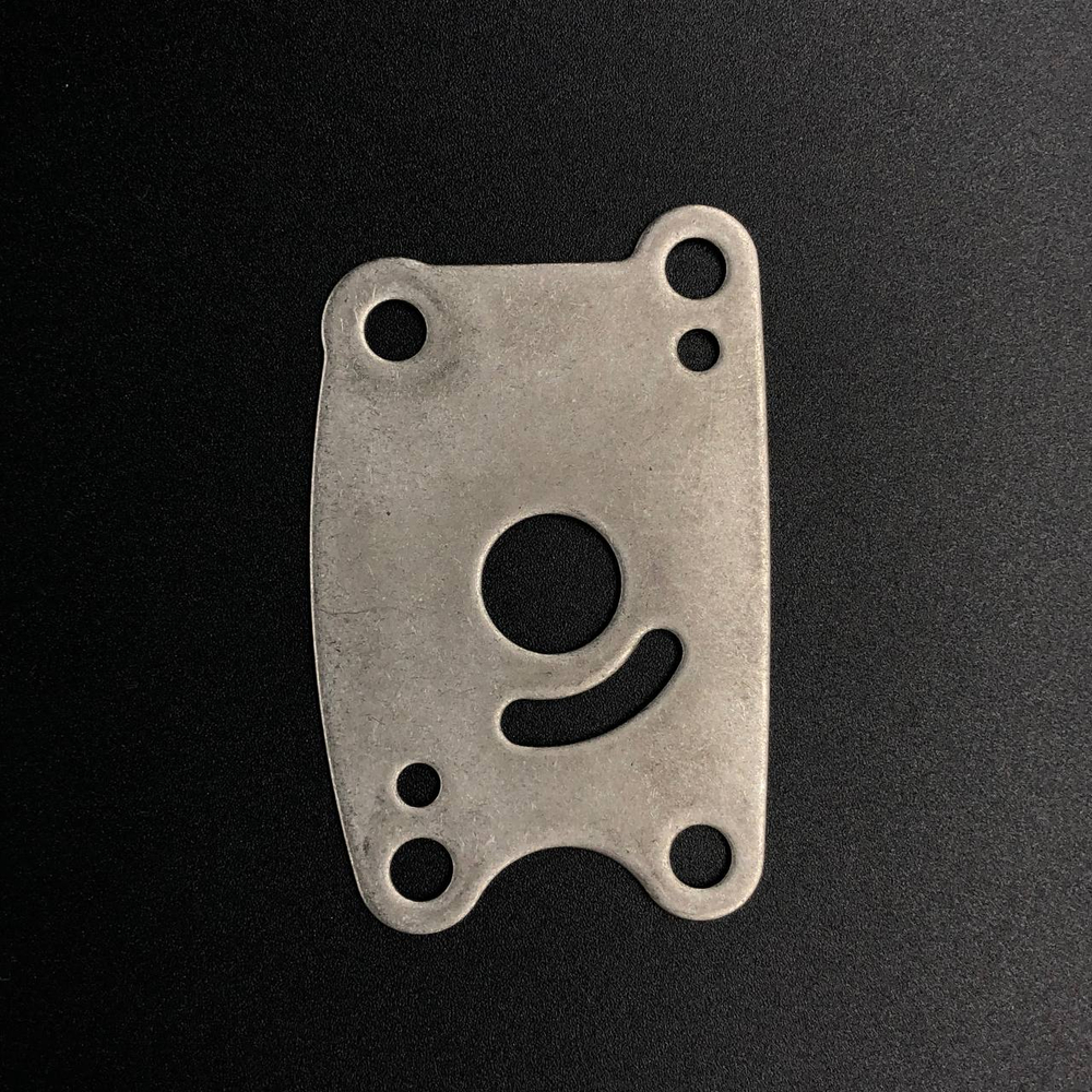 Пластина помпы охлаждения Honda BF4.5-5 (19231-ZV1-A00) (Honda)