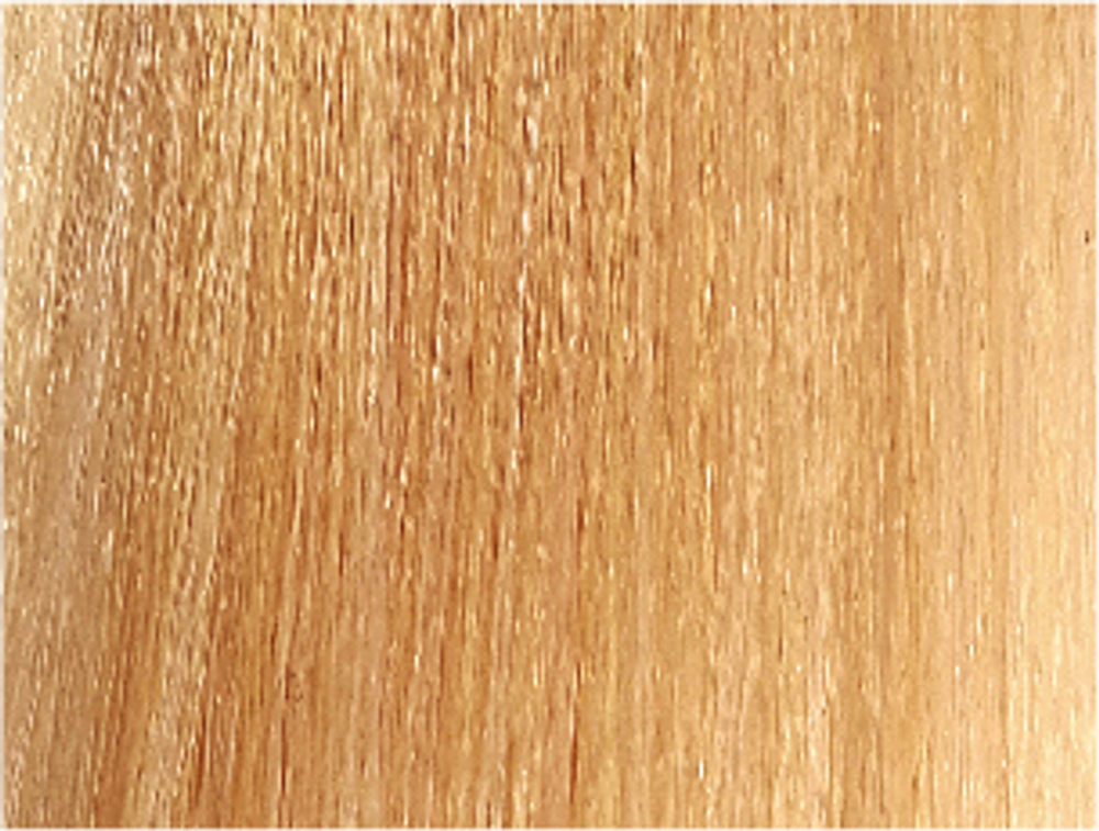 10/00 Изи Эскалатион Абсолют Лисап 60мл краска для волос