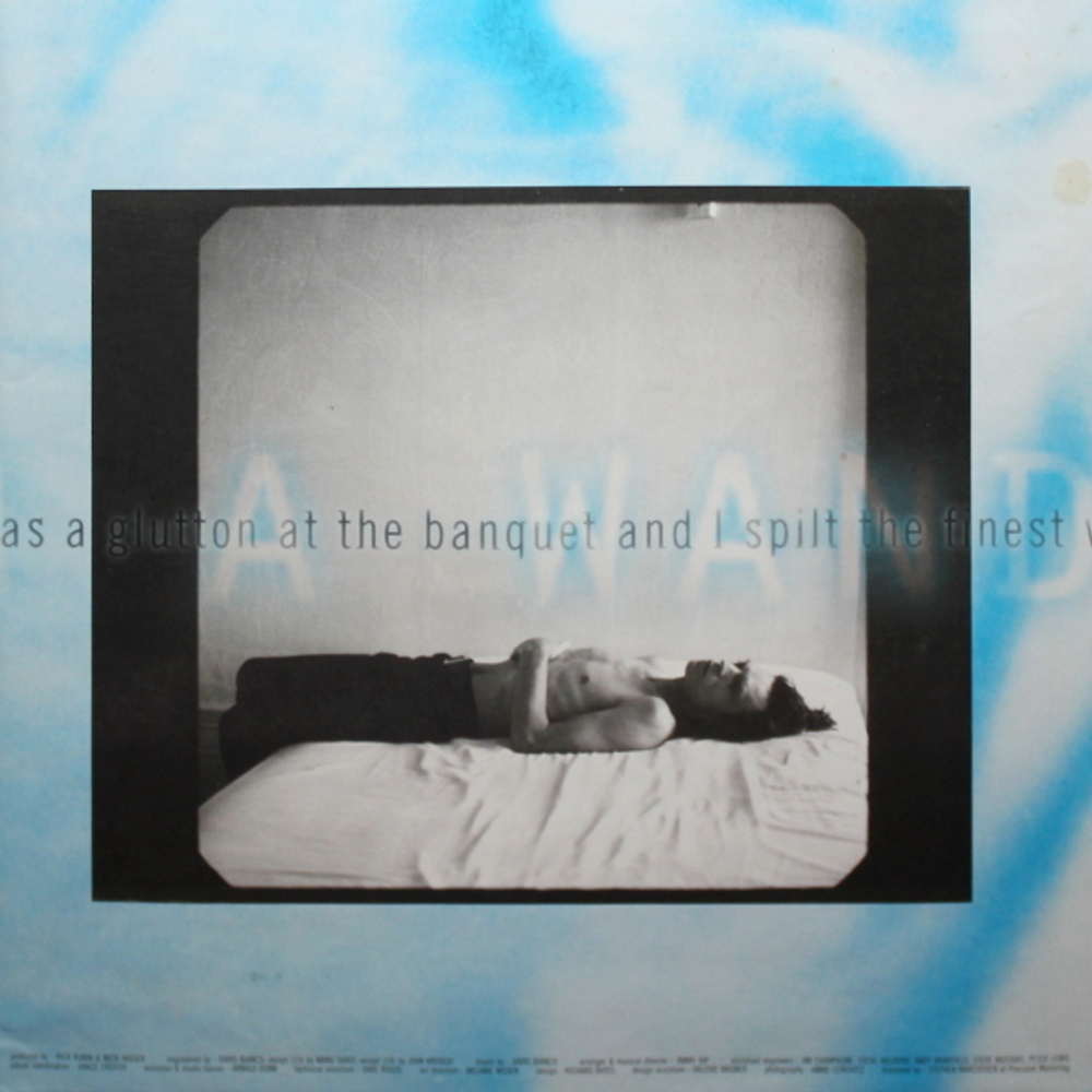 Mick Jagger / Wandering Spirit (LP)
