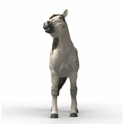 Schleich Horse Club - Порода кнабструппер Валлак 14916