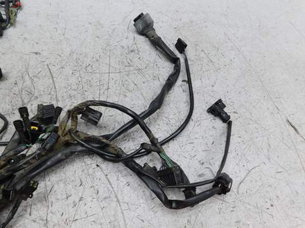 коса электропроводки Triumph Speed Triple SMTTE5865R