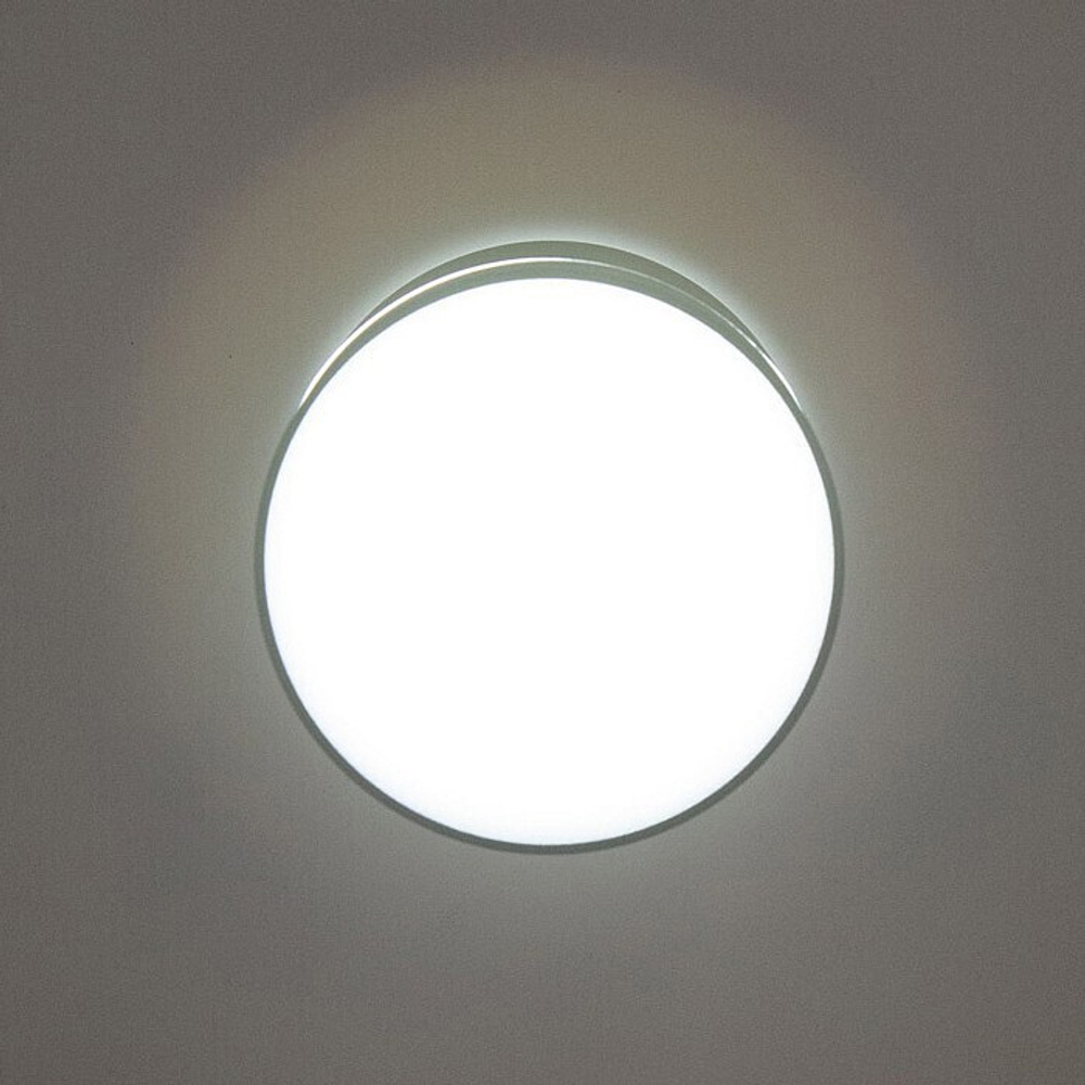 Накладной светильник Citilux CL745011N