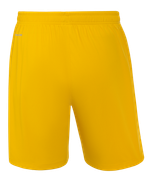 Шорты вратарские JOGEL NATIONAL PerFormDRY GK Shorts, желтый