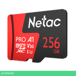 Карта памяти Netac NT02P500PRO-256G-R