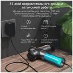 Массажер Booster Pro 3