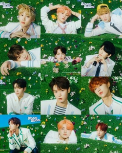 Альбом The Boyz - Bloom Bloom 2nd Single Album 2 Version SET