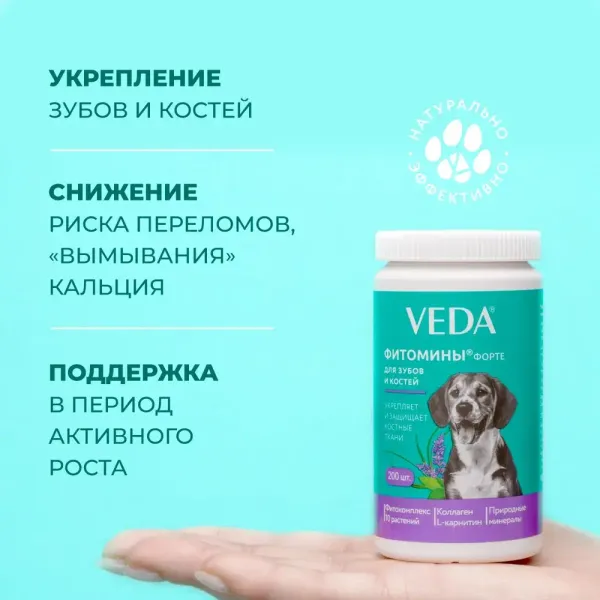 Витамины Фитомины Форте для зубов и костей собак, на основе растительных, минеральных и биоактивных веществ, 200 таблеток
