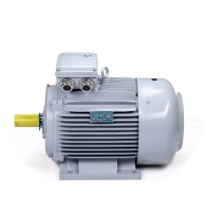 Электродвигатель ESQ PR 355 MA6-SDN-Б1-S32-IE2 160/1000 IMB3