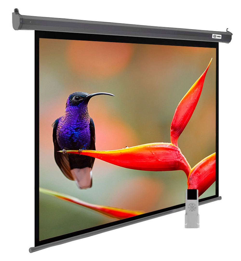 Экран  Cactus CS-PSSME-220X138-DG