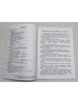 № 006 Глас 3. Песнопения воскресной службы