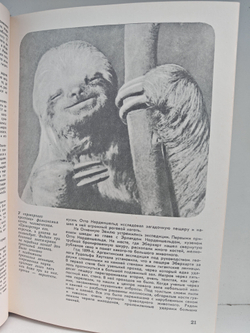 Мир животных. Рассказы о зверях крылатых, бронированных, ластоногих, трубкозубых, зайцеобразных, китообразных и человекообразных...