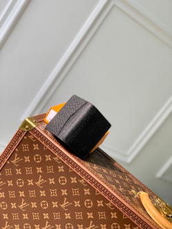 Louis Vuitton Pocket Organizer