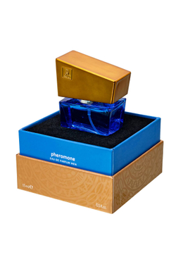 Духи с феромонами HOT Shiatsu «Darkblue», мужские, 15 мл