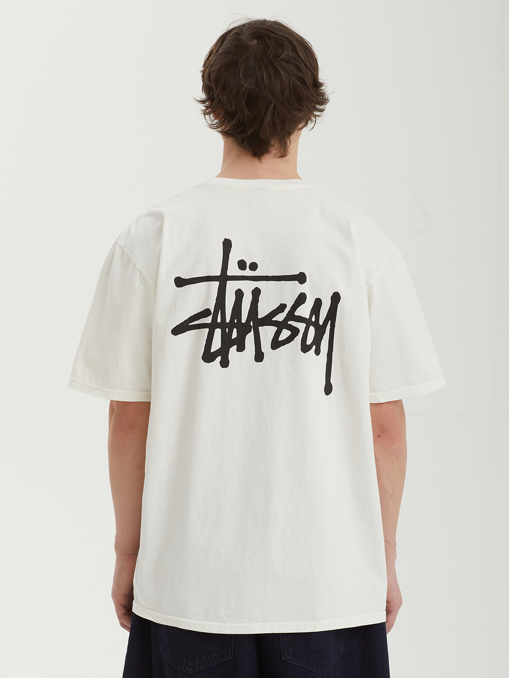Мужская Футболка Basic Stussy Pig. Dyed
