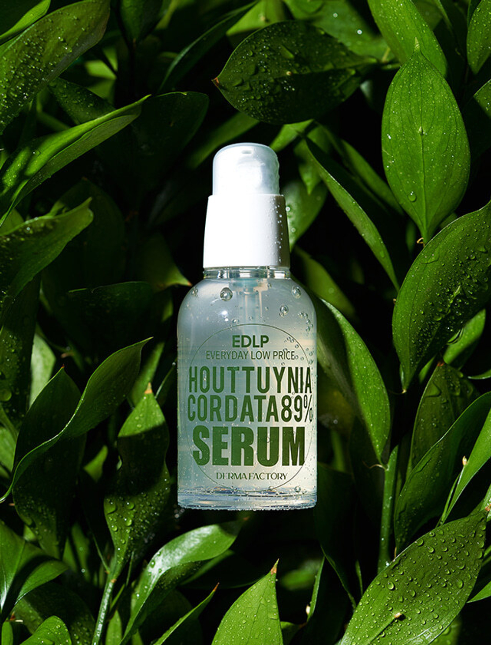 DERMA FACTORY Сыворотка для лица увлажняющая Derma Factory Houttuynia Cordata 89% Serum с экстрактом цветка хауттюйнии 50 мл
