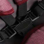 Коляска BERTA 2в1 (Alis) (Be 04 (бордовый))