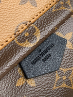 Louis Vuitton Palm Springs Mini