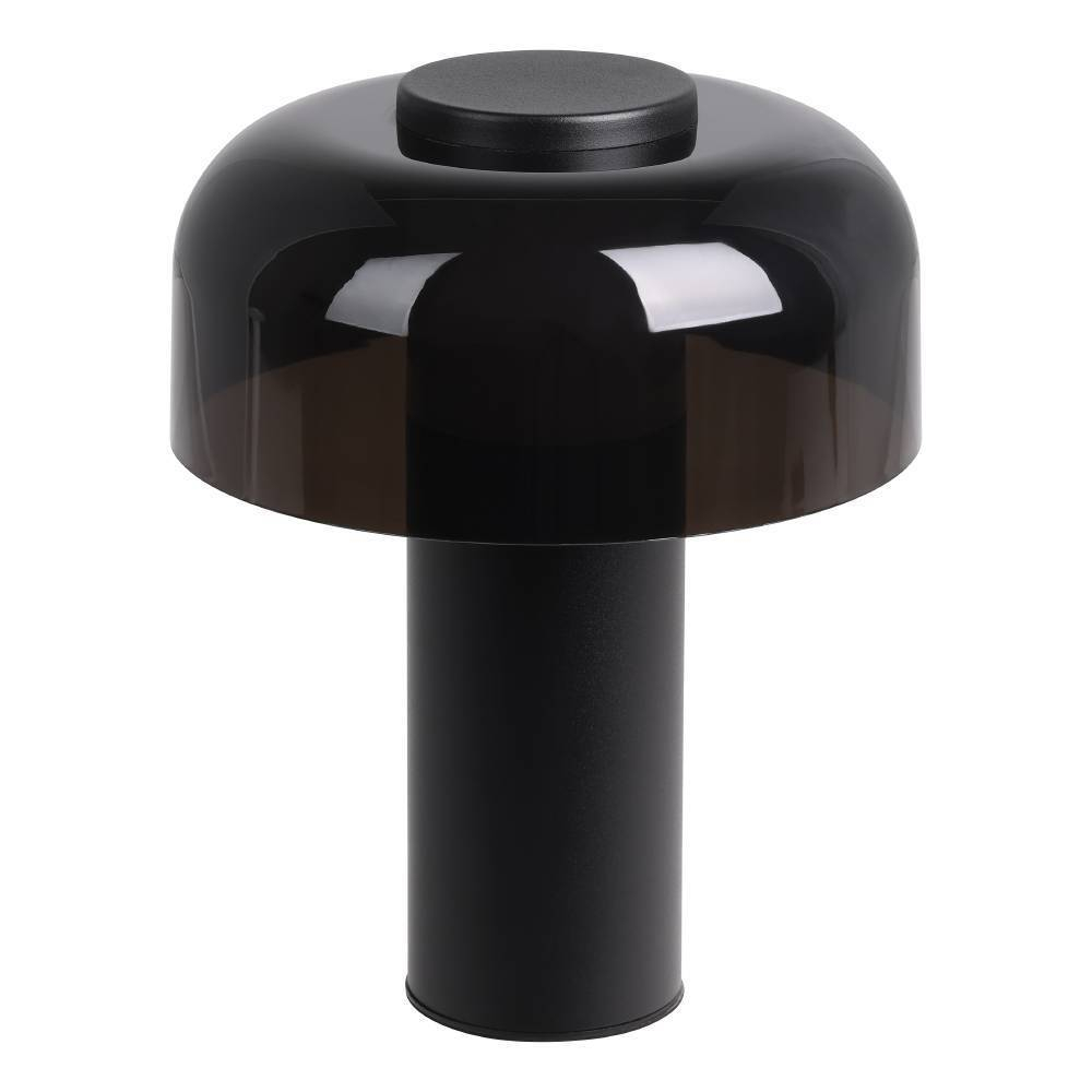 Аккумуляторная настольная лампа Eglo PONENTE 900983