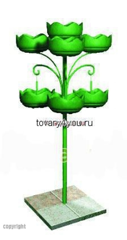 Цветочница Улитка двойная парковая-3
