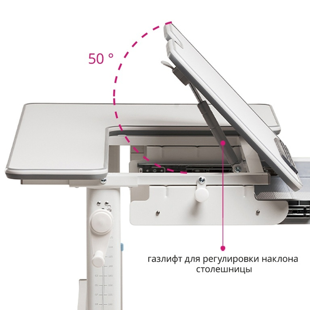 Растущая парта Fundesk Fiore (1200×600 мм)