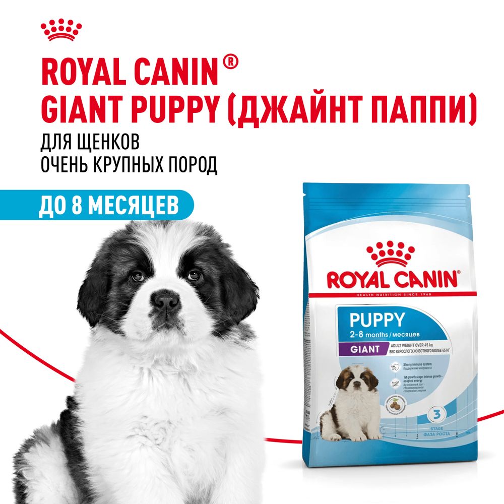 Сухой корм Royal Canin Giant Puppy для щенков очень крупных размеров до 8 месяцев Сухой корм Royal Canin Giant Puppy для щенков очень крупных размеров до 8 месяцев