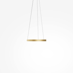 Подвесной светильник Maytoni MOD058PL-L22BSK