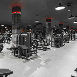 U3009D Турник, брусья с противовесом. Стек 99 кг