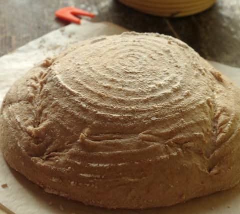 Бакфермент VS Закваска